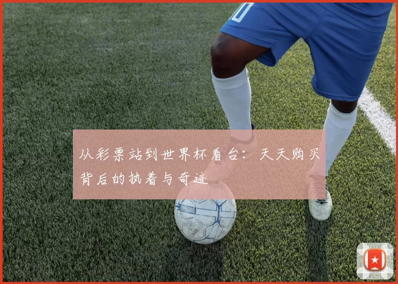 从彩票站到世界杯看台:天天购买背后的执着与奇迹