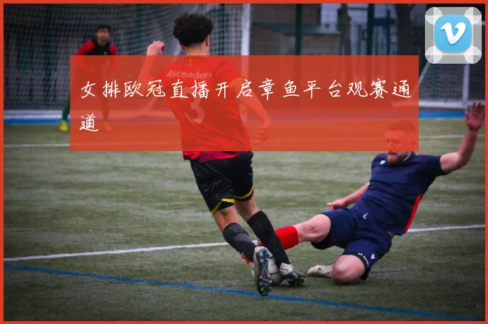 女排欧冠直播开启章鱼平台观赛通道