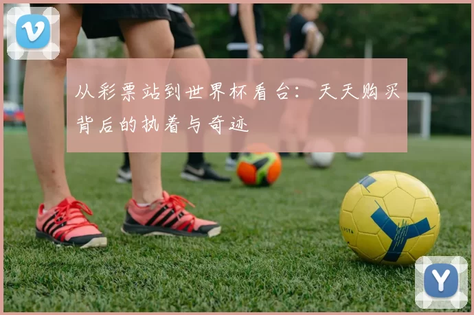从彩票站到世界杯看台:天天购买背后的执着与奇迹